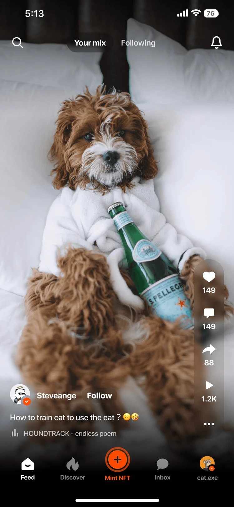 Furrend video feed screen